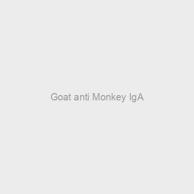 Goat anti Monkey IgA
